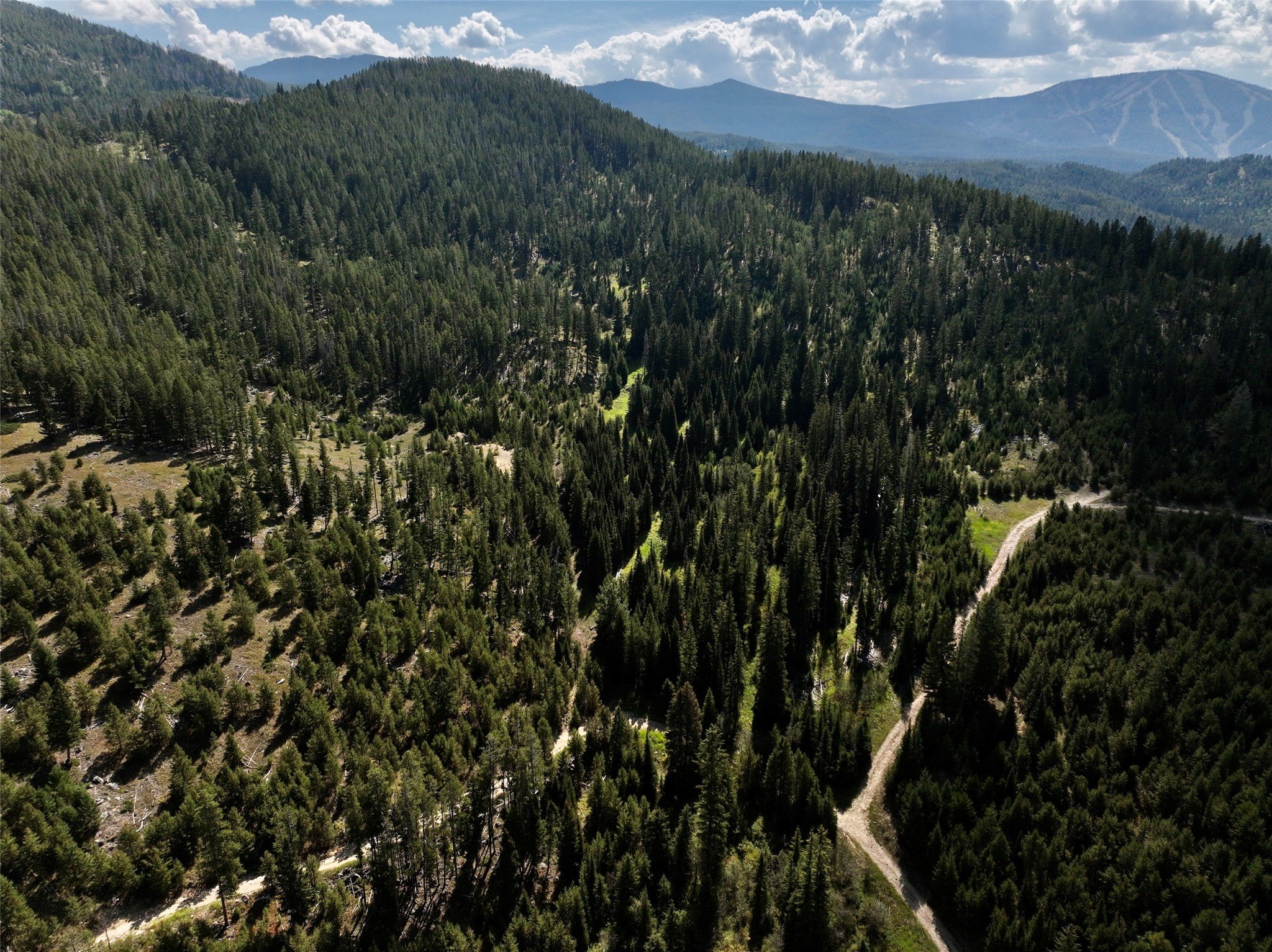 Off-Grid Land in Flint Mountains