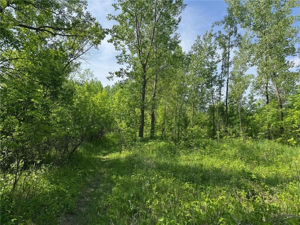 Picture 14