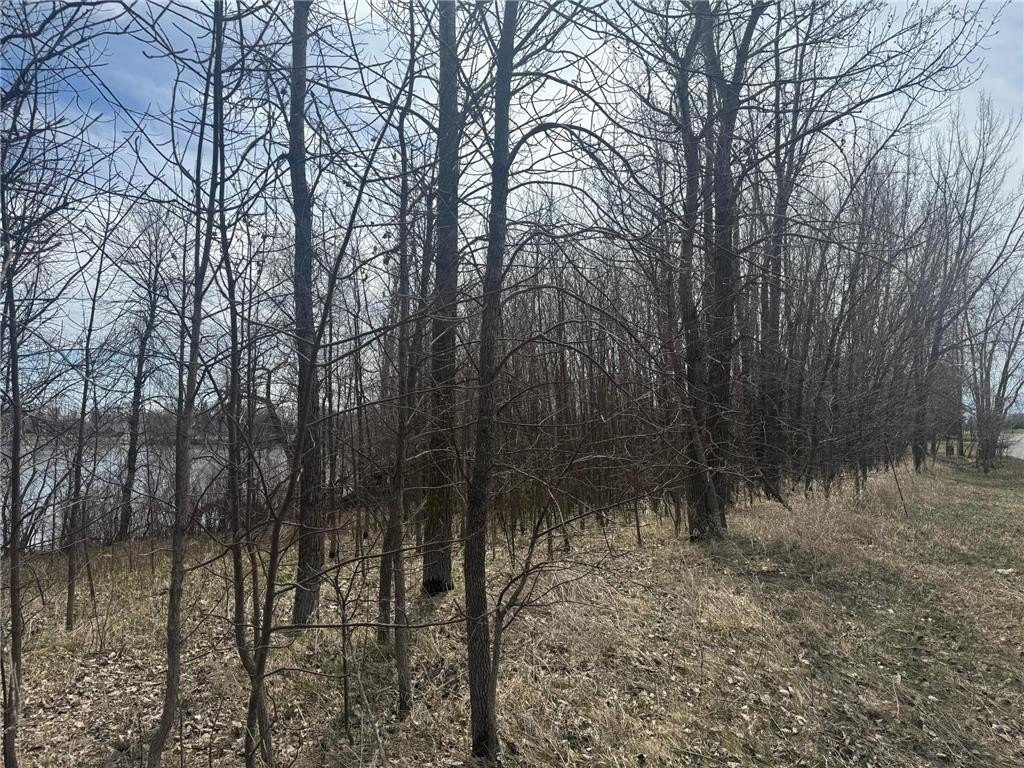 Picture 16