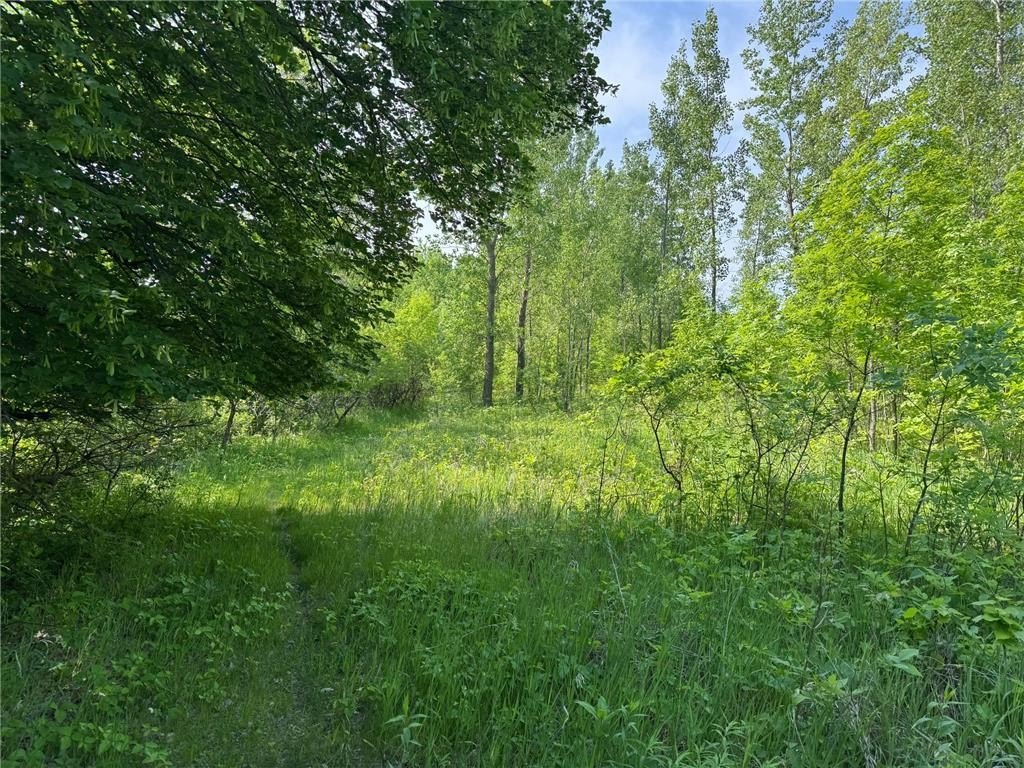 Picture 13