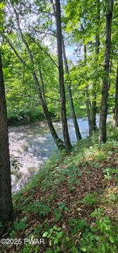 Equinunk Waterview Lot with Building