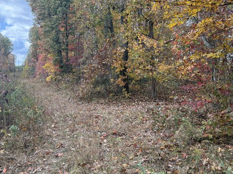 11 Acres Near Daniel Boone