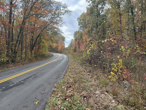 11 Acres Near Daniel Boone