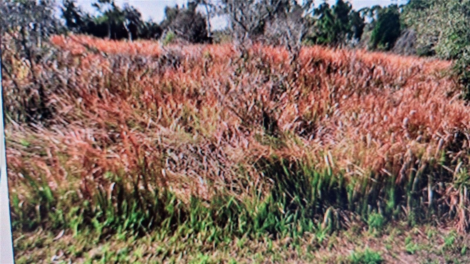 Residential Lot in Growing Area