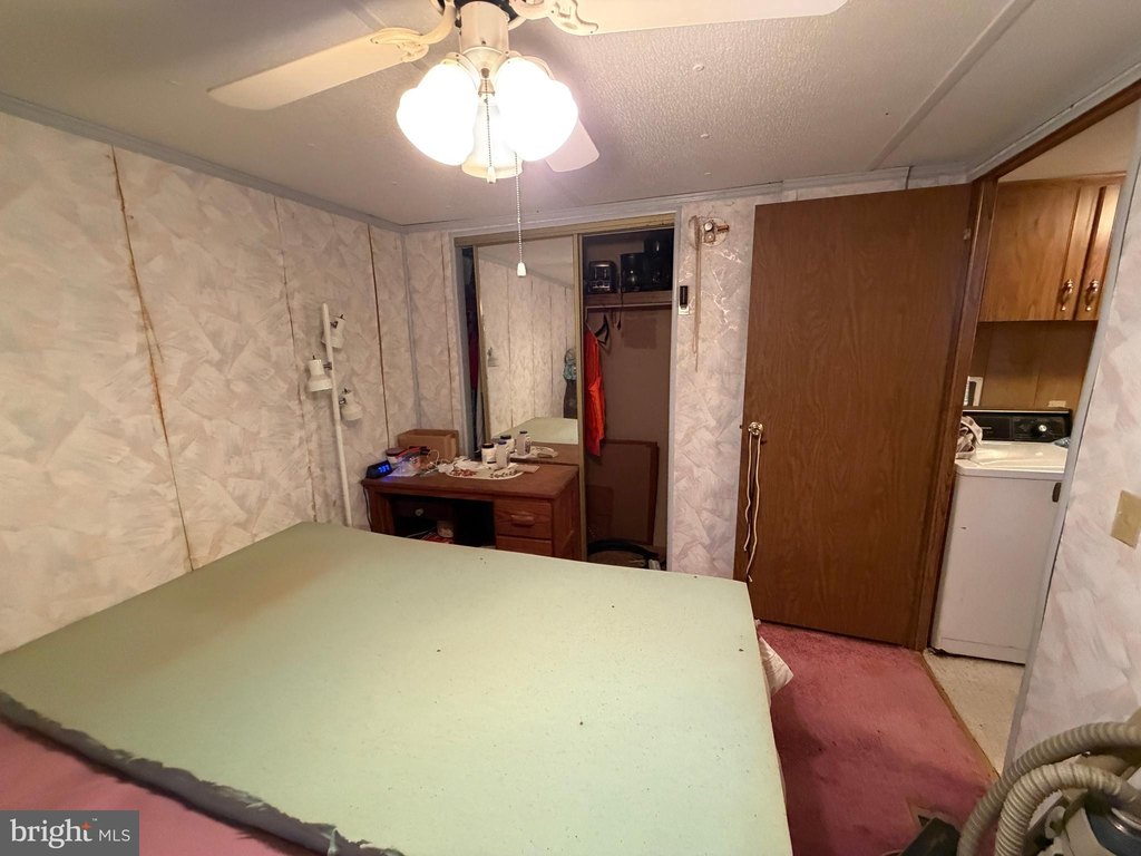 Picture 61