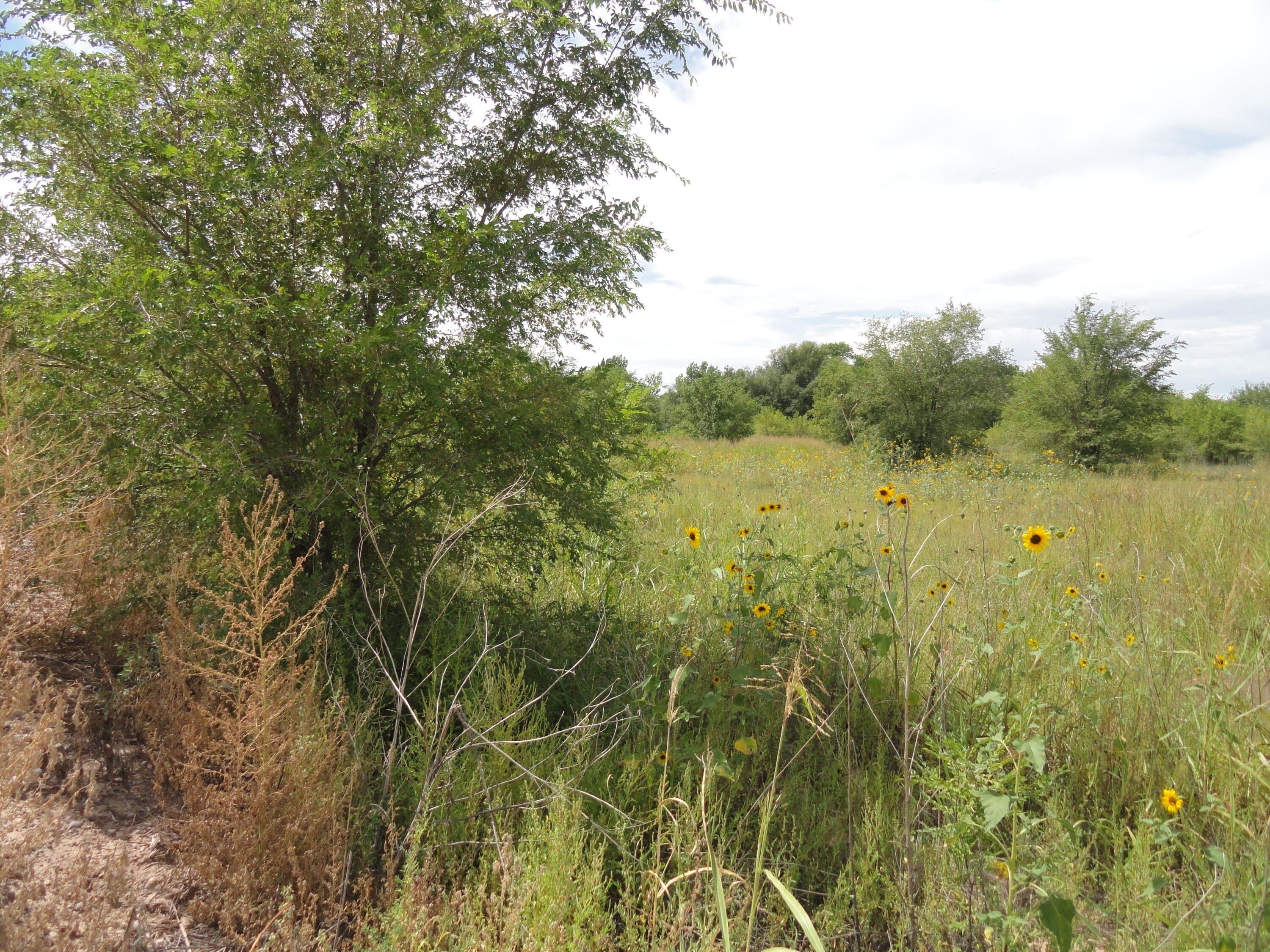 Residential Land in Peralta, NM