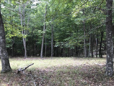 Land, Dunlap, TN