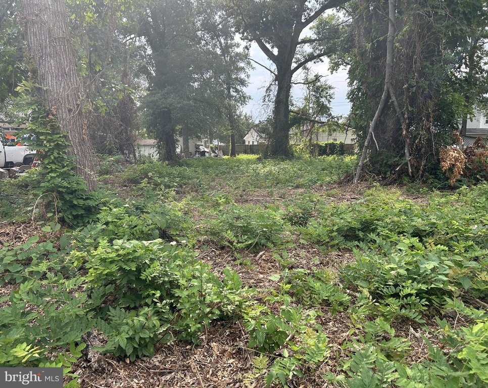 Picture 5