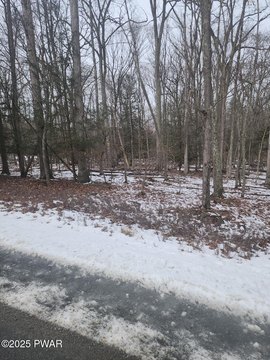 Residential Land Near Lake Wallenpaupack