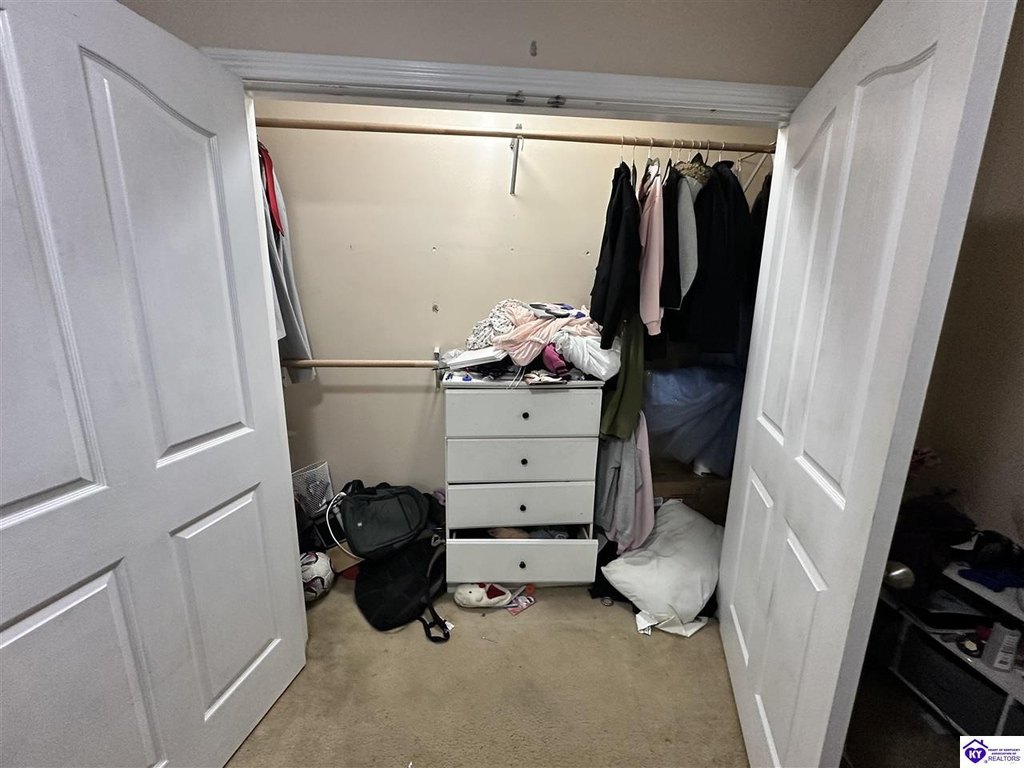 Picture 24