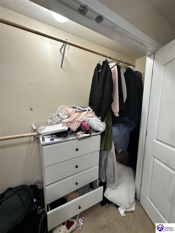 Picture 26