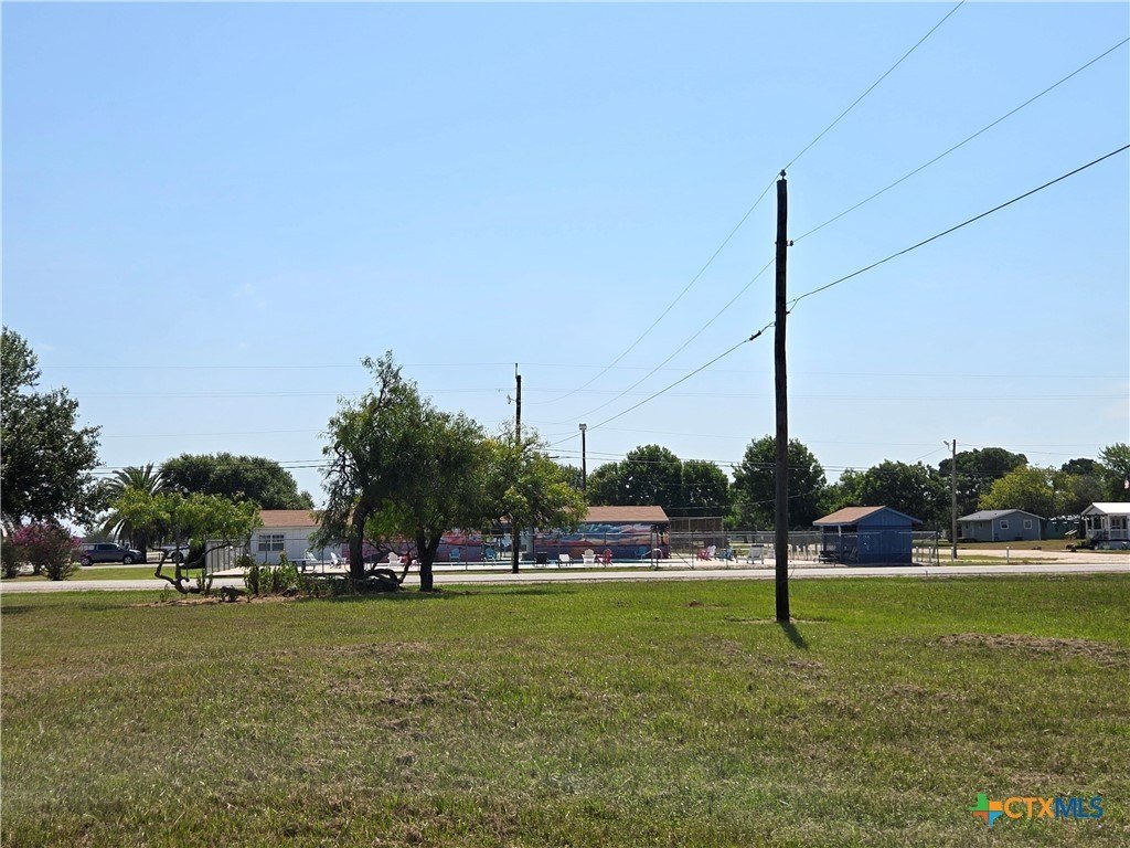 Picture 12