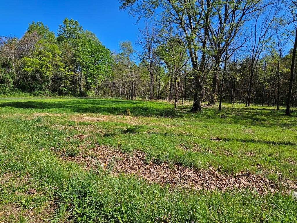 Dillwyn, VA Corner Lot