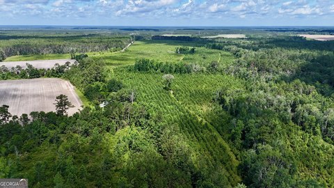 Versatile 45-Acre Timber Investment Land