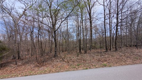Land, Bella Vista, AR