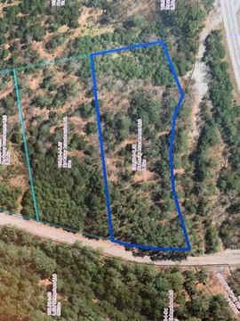 Bolton Landing Wooded Land Parcel