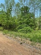 Land For Sale in Rogers