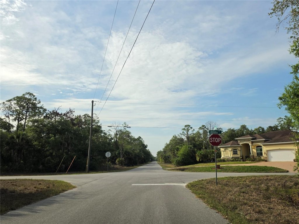 Picture 12