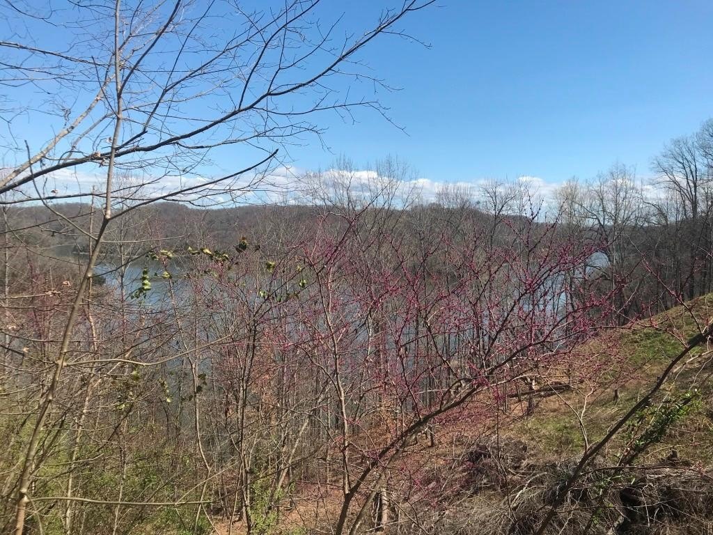 Heavily Wooded Lot Near Lake
