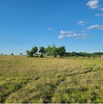 Land with Hilltop Views