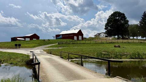 Land, Cynthiana, KY