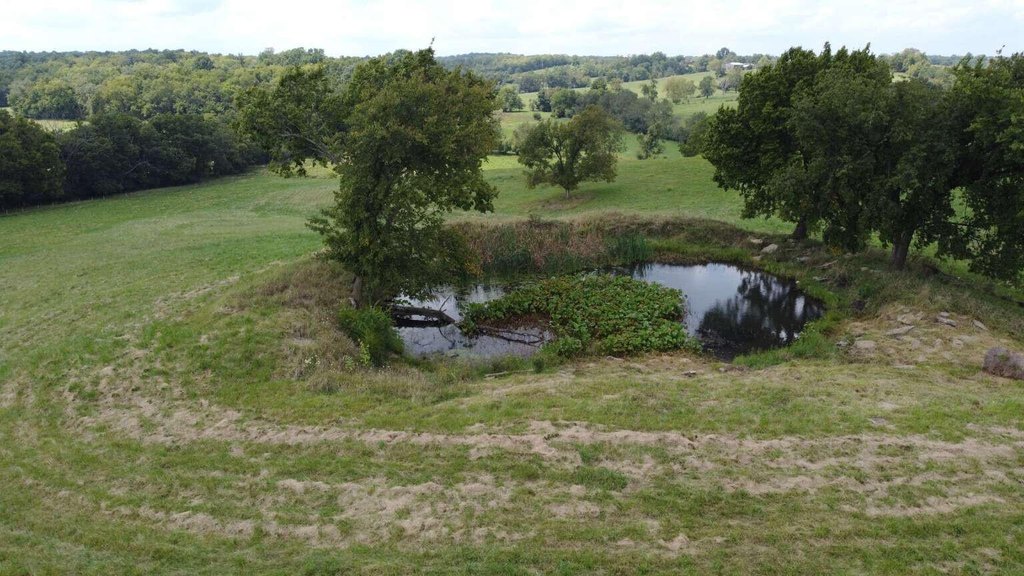 Picture 18