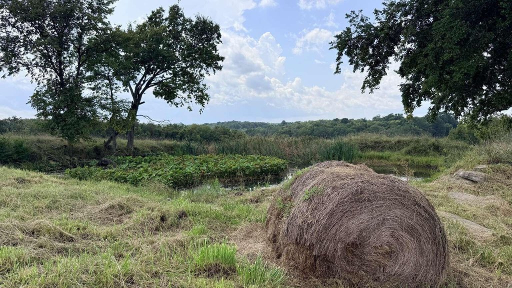 Picture 7