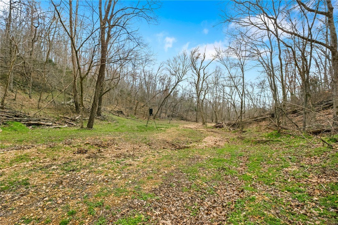 Unrestricted Land Near Beaver Lake