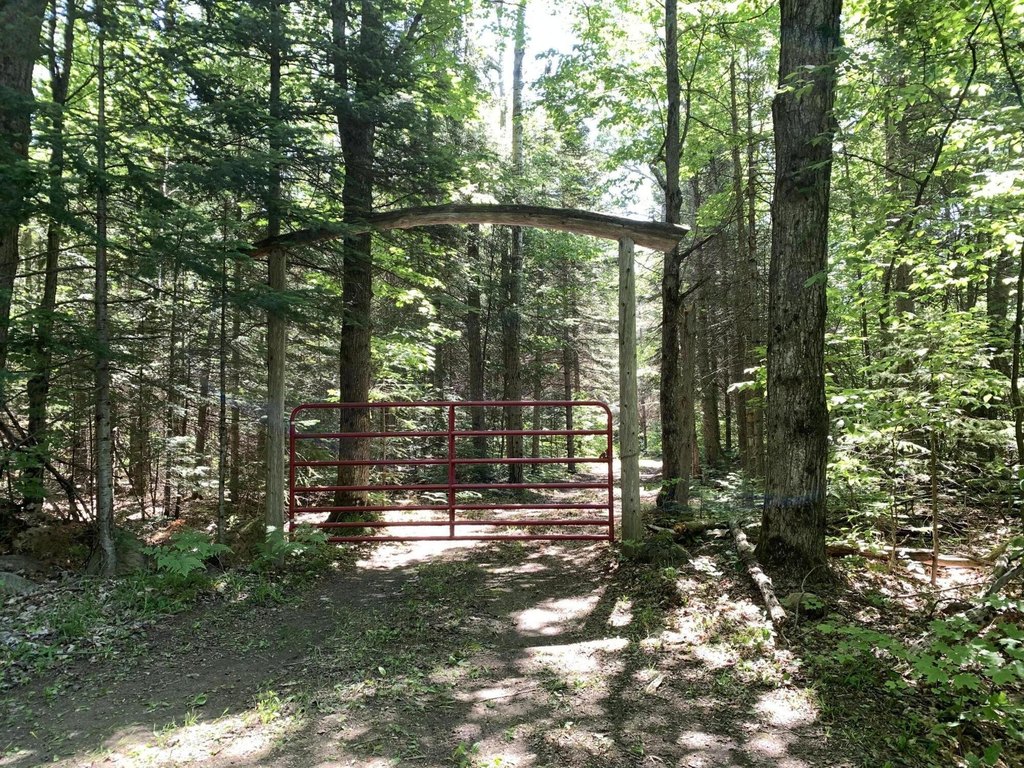 Picture 4