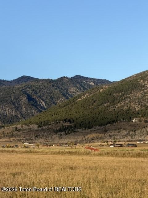 Picture 7
