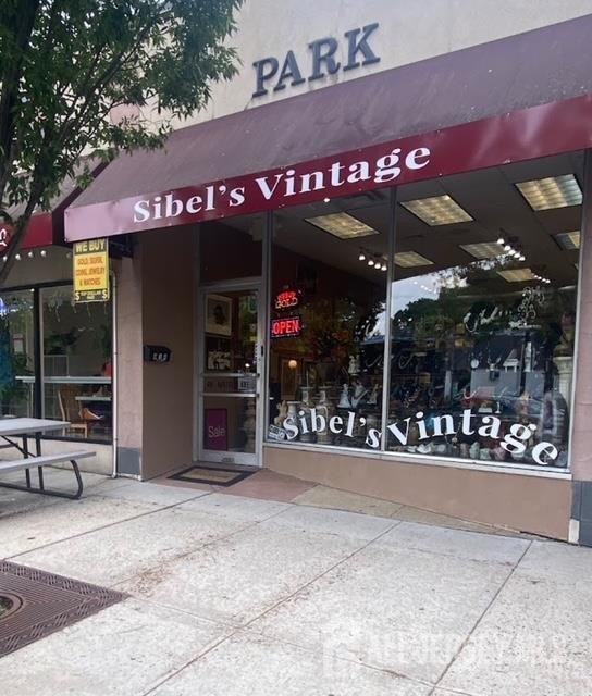 Established Antique Store on Main