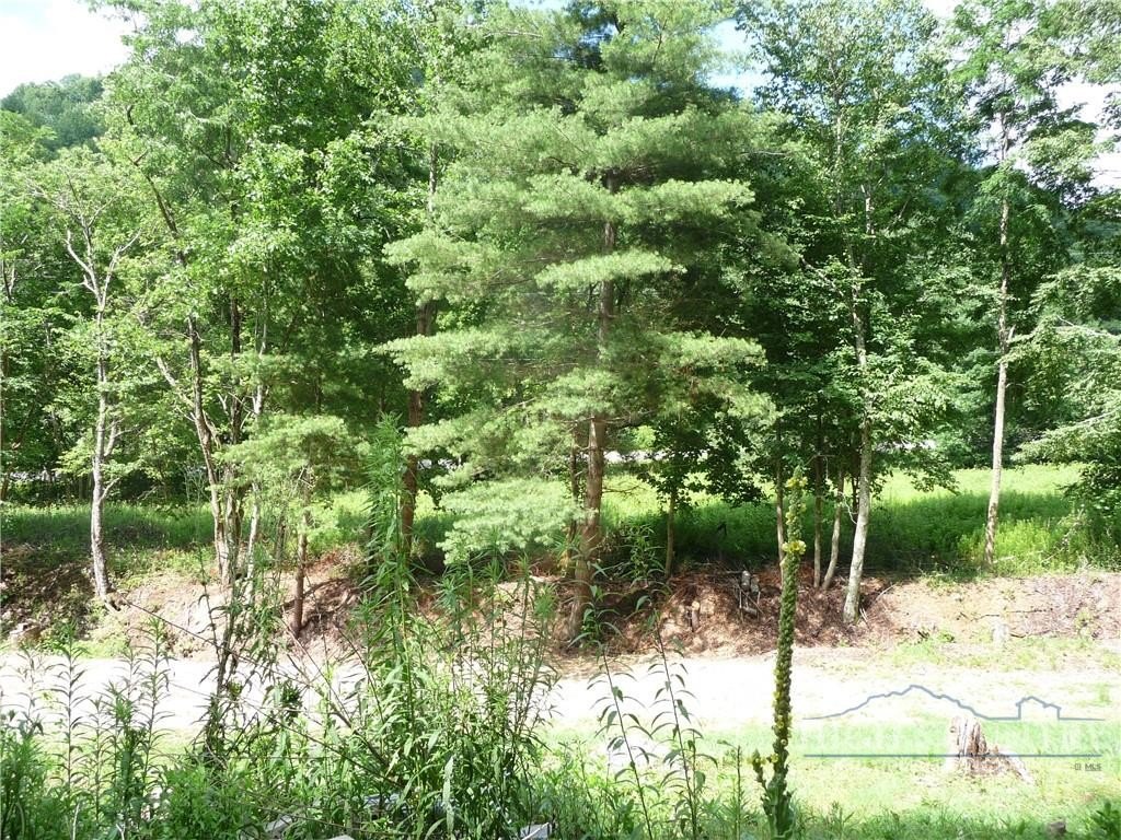 Picture 7