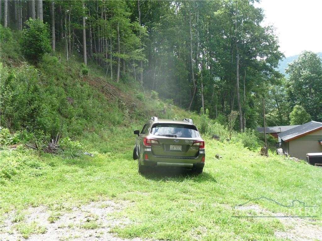 Picture 15