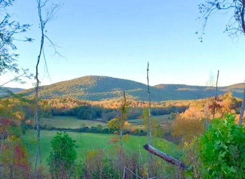 70 Acres Farm with Views