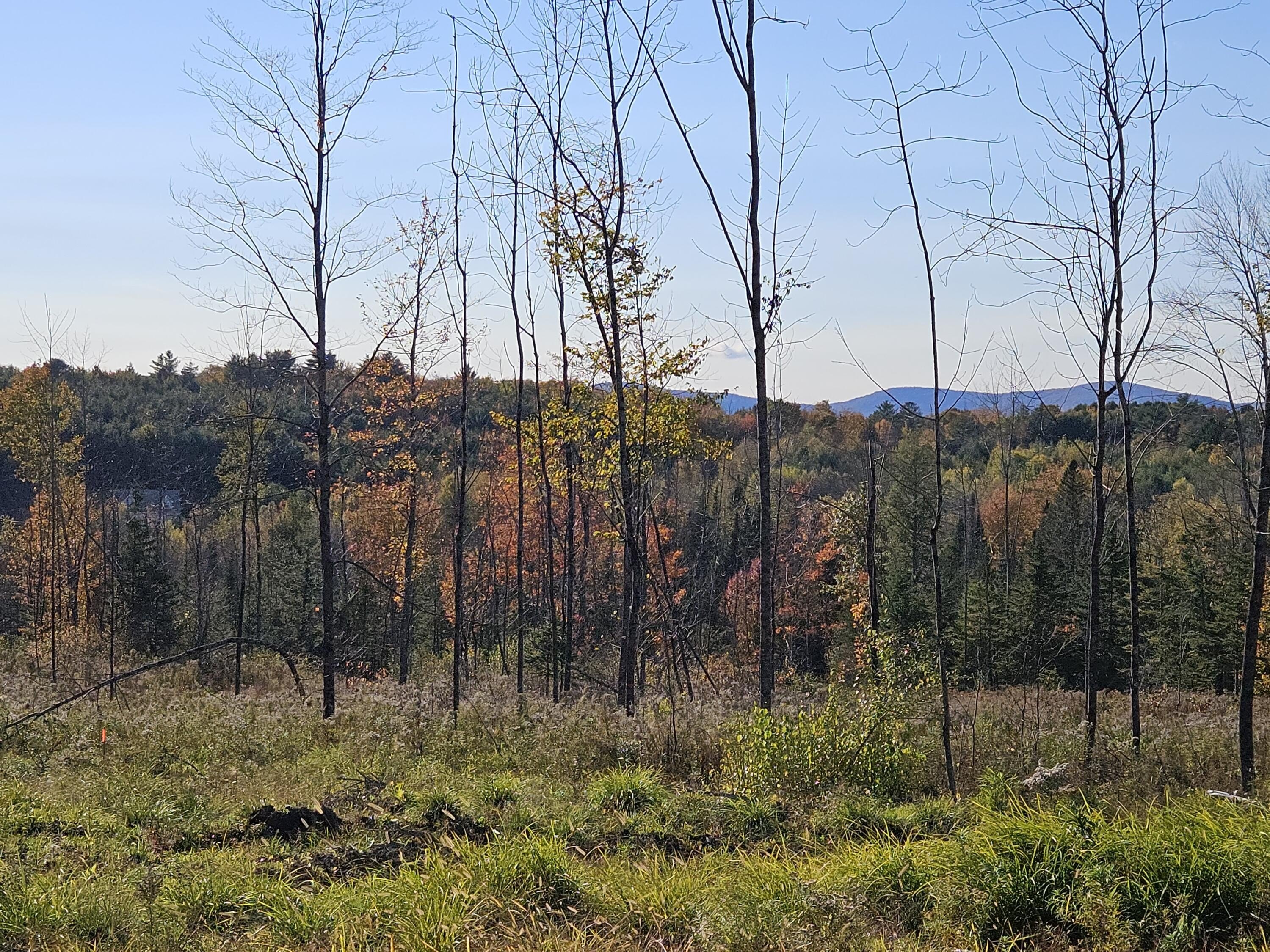 Farmington Land with Subdivision Approval