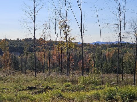 Residential Land in Farmington, ME