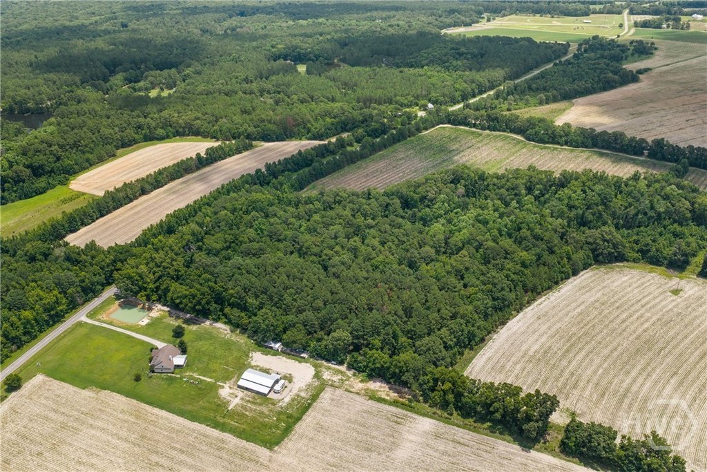 Picture 7