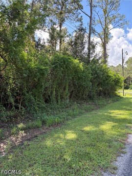 Land, Alva, FL