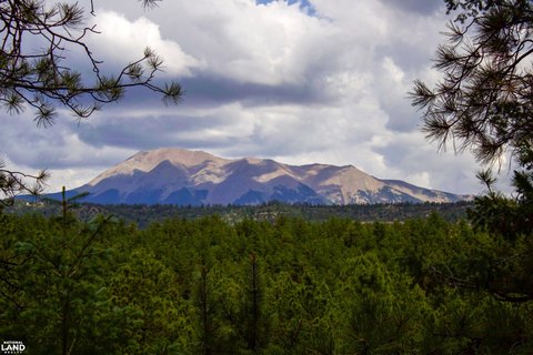Mountain View Residential Land