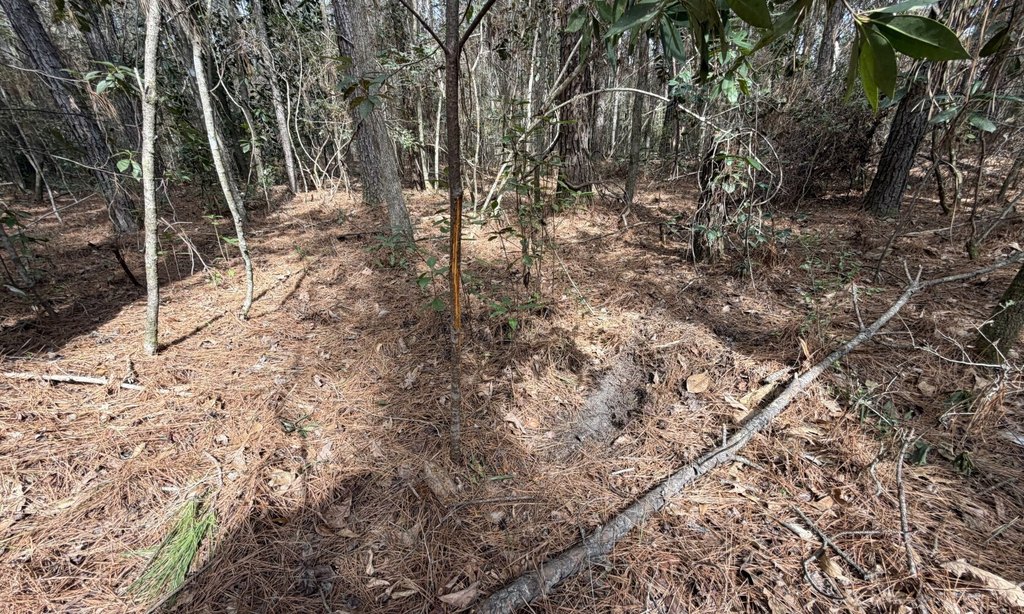 Picture 13