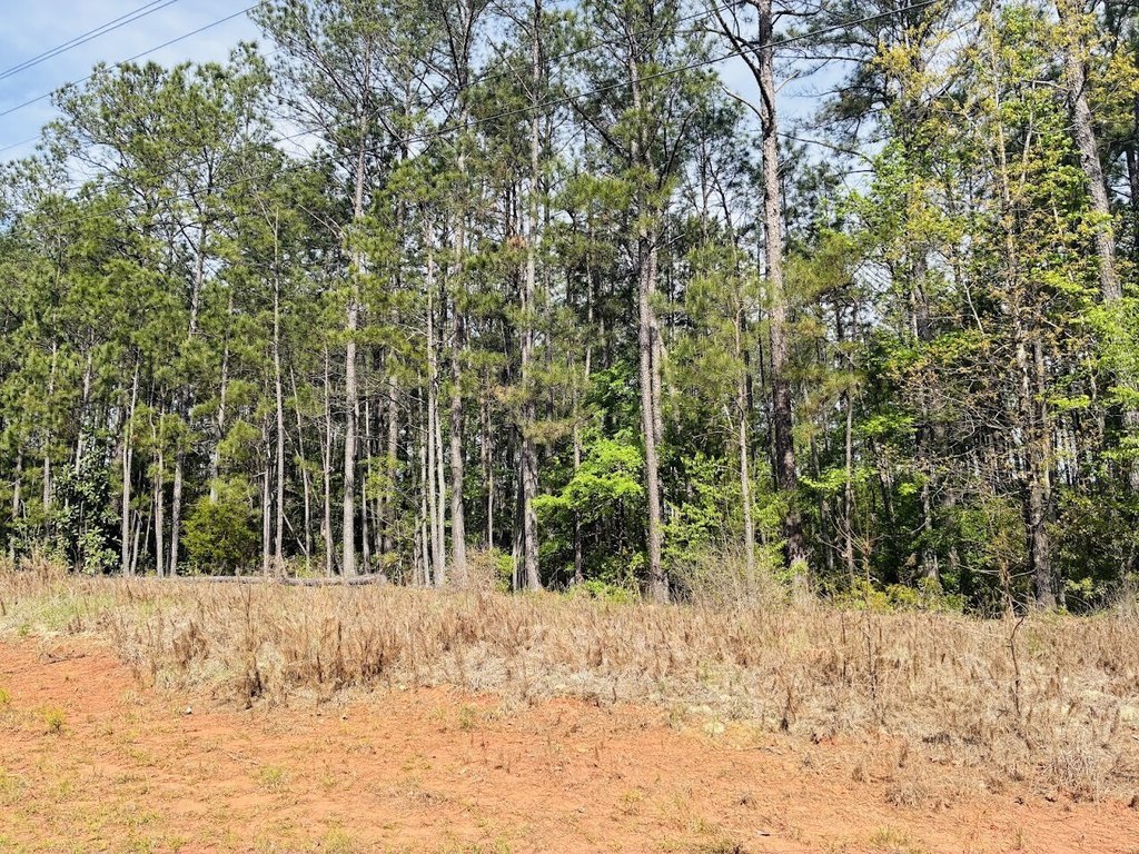 Picture 3