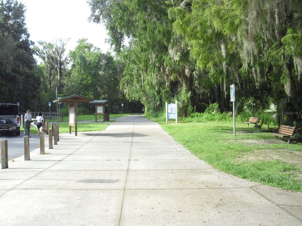 Picture 38