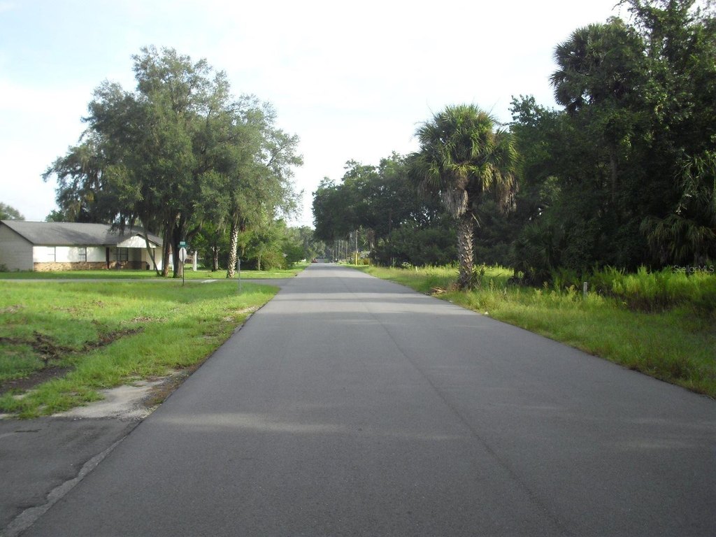 Picture 6