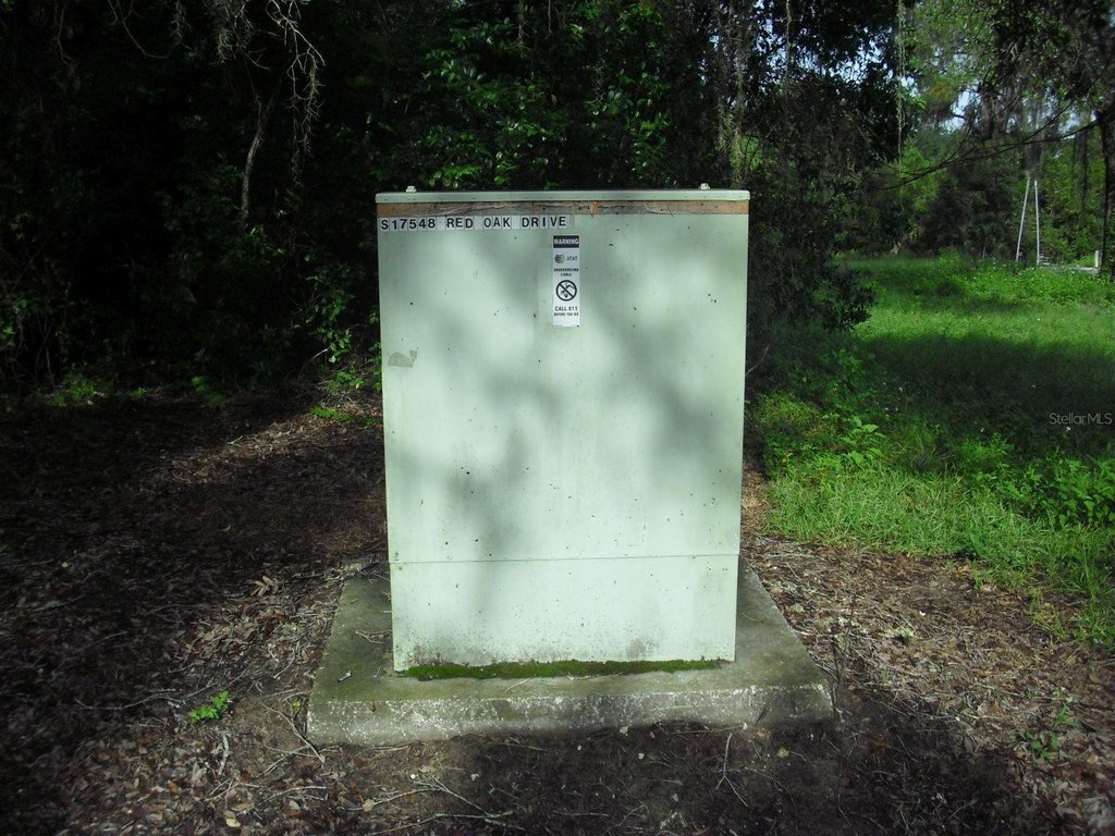 Picture 26
