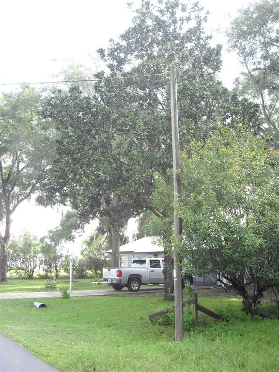 Picture 13