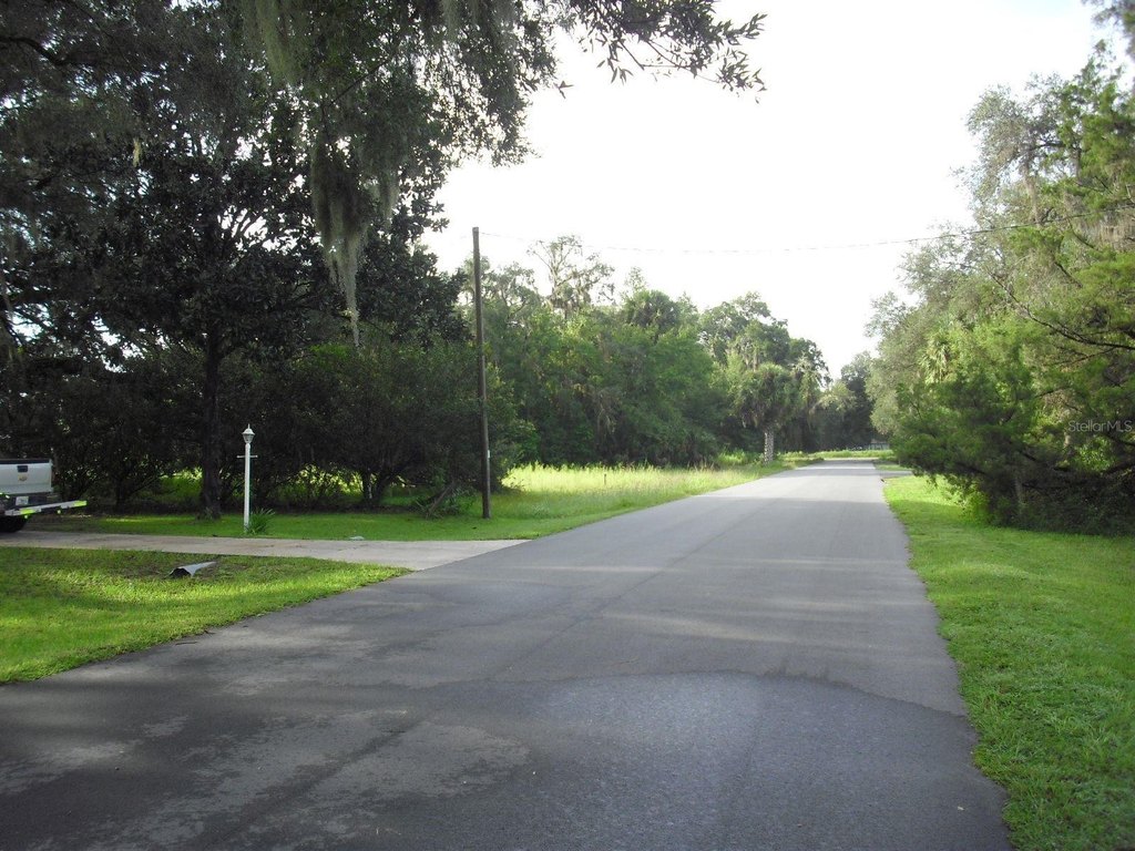 Picture 5
