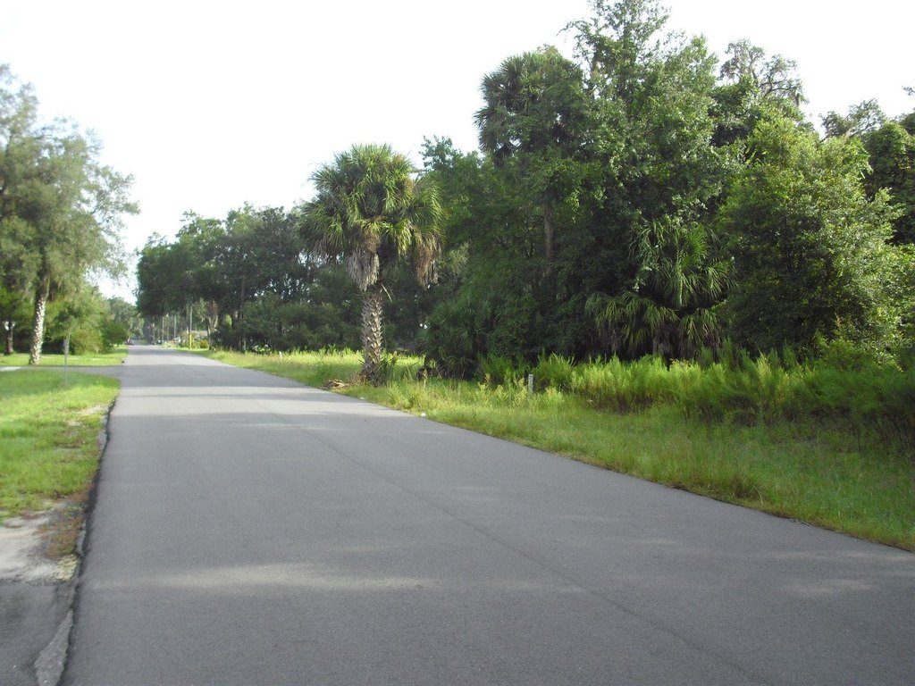 Picture 8