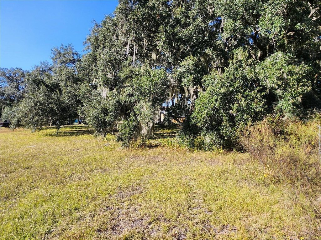 Picture 18