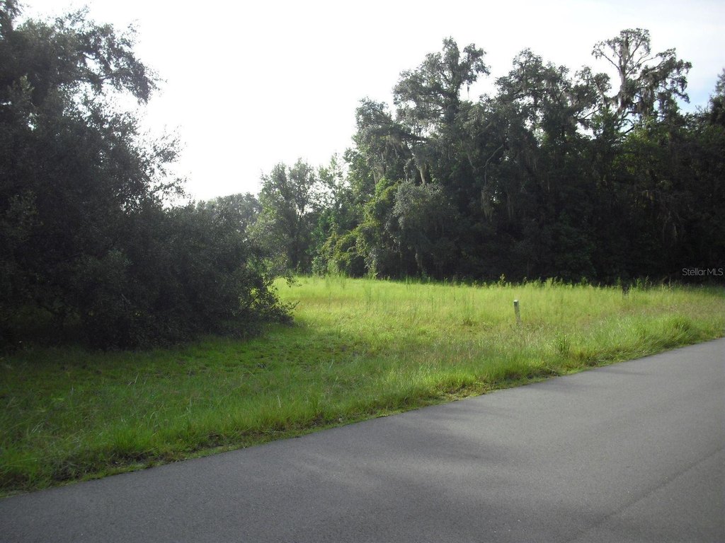 Picture 14