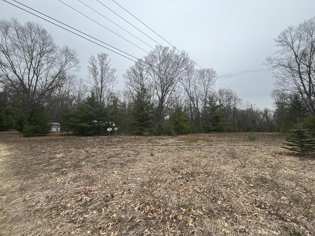 Picture 19